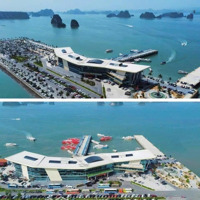 Căn Hộ 2 Mặt Vịnh Bái Tử Long Giá Hời, Full Nội Thất Chuẩn 5*, Dòng Tiền Tối Thiểu 10,2%/Năm