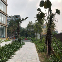 Chính Chủ Cho Thuê Gấp Ch 3 Phòng Ngủ 123,5M2, 14,5 Triệu, K35 Tân Mai, Tương Mai, Hoàng Mai, Hà Nội