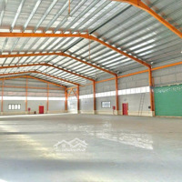 Cho Thuê Xưởng Mới Xây Kcn Bến Lức, Long An Giá Tốt, Pccc Đầy Đủ, Bình Điện 320Kva