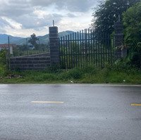 Đất Full Thổ Cư Mặt Tiền Hương Lộ 39, Xã Suối Tiên, Diên Khánh. 319M2 Ngang 7,4M