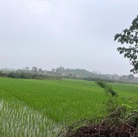 285M2 Trục Chính Thôn 2 Phú Cát, Giá Loanh Quanh 10 Triệu/M2