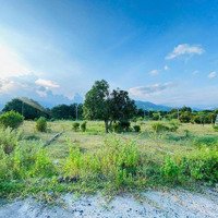 Hạ Giá Bán Nhanh Lô Đất Suối Tân - Quy Hoạch 2045 Đất Công Viên Nằm Sát Sân Golf Chỉ Hơn 400 Triệu