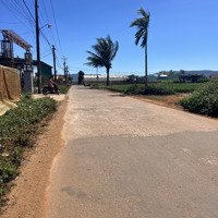 Bán Lô Góc 2 Mặt Tiền Đường Chính Chỉ Với 1,7 Tỷ Đạ Ròn, Đơn Dương Full Thổ Cư Rẻ Nhất Thị Trường