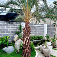 Bán Nhanh Lô Đất Vườn 236,6M2 Vĩnh Ngọc, Tp Nha Trang, Cạnh Kđt Vĩnh Điềm Trung