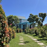 Nhà Vườn Siêu Đẹp Nhiều Cây Ăn Quả Chỉ Việc Dọn Về Ở, Giá Đầu Tư