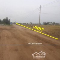 Bán 8800M2 Đất Lúa Đường Xe Tải Tại Tân Trạch, Cần Đước, Long An