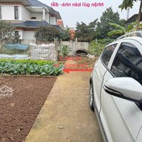 Bán Đất Thổ Cư Tiềm Năng Tại Thôn 1, Thạch Đà, Mê Linh, Hà Nội - Vị Trí Vàng, Giá Đầu Tư Hấp Dẫn!