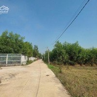 Bán Đất 2346M2, Có 2Mt 2Tỉ 290 Triệu Tại 1/ Đường 786, Xã Thanh Điền, Châu Thành, Tây Ninh