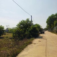 Bán Đất 2346M2, Có 2Mt 2Tỉ 290 Triệu Tại 1/ Đường 786, Xã Thanh Điền, Châu Thành, Tây Ninh