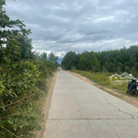 Cần Bán Lô Đất Đường Bê Tông Ninh An Gần Tđc Hà Thanh Đường Thông 1,8 Triệu/M2 Ngang 39,5M