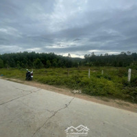 Cần Bán Lô Đất Đường Bê Tông Ninh An Gần Tđc Hà Thanh Đường Thông 1,8 Triệu/M2 Ngang 39,5M