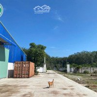 Bán Nhà Xưởng Đang Xây Dựng 15.000 M2 Tại Tân Hiệp, Phú Giáo, Bình Dương