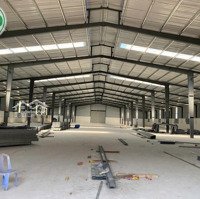 Bán Nhà Xưởng Đang Xây Dựng 15.000 M2 Tại Tân Hiệp, Phú Giáo, Bình Dương