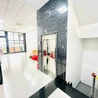 Cho Thuê Mặt Tiền Đường Nguyễn Thái Bình (Tuyến Đường Nối Đường Trường Chinh & Cộng Hòa)