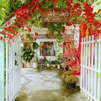 Sang Nhượng Quán Cafe Sân Vườn View Đẹp 300M Phường Tam Hiệp
