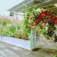 Sang Nhượng Quán Cafe Sân Vườn View Đẹp 300M Phường Tam Hiệp