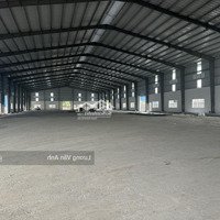 Cho Thuê Xưởng 10.000M2 Kcn Đức Hoà-Long An(Mới 100%)