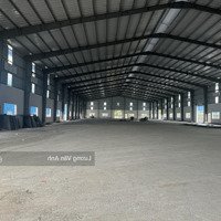 Cho Thuê Xưởng 10.000M2 Kcn Đức Hoà-Long An(Mới 100%)