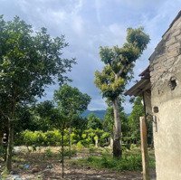 Can Chuyển Nhượng 3200M2 Trong Đó Có 400M2 Tc Tại Vân Hoà