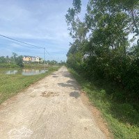 Cần Bán Đất Thôn Đông Hoà, Xã Xuân Lộc, Huyện Hậu Lộc, Thanh Hoá