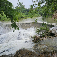 Bán Trang Trại, Khu Nghỉ Dưỡng Ở Xuân Thủy, 1,7 Triệu/M2, 1565M2 Đẹp Xuất Sắc