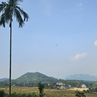Bán Gấp Trang Trại 5800M2 Tại Xã Cuối Hạ, Kim Bôi, Hòa Bình, 500 Nghìn/M2
