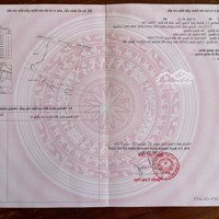 Chính Chủ Cần Bán Gấp Đất Mặt Tiền Biển Chi Lăng Giá Tốt Đầu Tư!