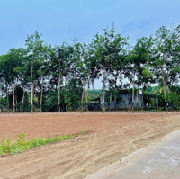 Đất Nền Hàng Hiếm Tại Xã Long Tân, 550 Triệu, 500 M2, Có Sẵn 100M2 Thổ Cư.
