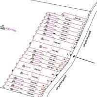 Bán Đất Nền 5X50, 100M Thổ Cư, Giá Chỉ 2Xx Triệu Tại Long Tân, Phú Riềng, Bình Phước