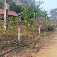 Bán 1800M2 Đất Có 400Tc Tại Cao Sơn. Gần Nút Cao Tốc Hb Mc.có View Đẹp. Giá Nhỉnh 1 Tỷ Liên Hệ: 0984952921