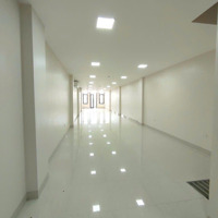Cho Thuê Sàn Văn Phòng Địa Chỉ 167 Xuân Thủy - Cầu Giấy (Đối Diện Đh Sư Phạm Hà Nội)