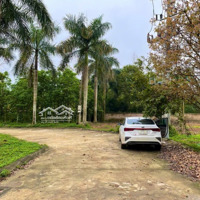 Chủ Cần Bán Gấp 853M2 Có 80M2 Thổ Cư Tại Nhuận Trạch - Lương Sơn - Hoà Bình, Giá Đầu Tư