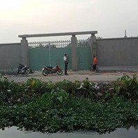 Đất Đường Oto Huyện Củ Chi 2272M2 Có Tường Bao Quanh Giá Bán 17 Tỷ Tl