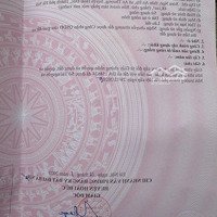 48M2 Lô Góc 2 Mặt Tiền Thoáng Mát Tại Trung Tâm Xã An Thượng Huyện Hoài Đức Tp Hà Nội Được Mở Bán