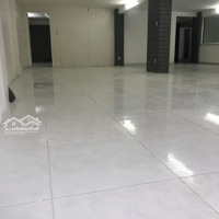 Cho Thuê Tòa Nhà 60 Mặt Tiền Đường Hòa Bình Phường 5 Quận 11. Diện Tích 8,5X25M Hầm 5 Lầu Thang Máy