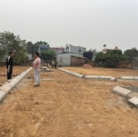 Bán Đất Tại Đường 304, Quang Hưng, An Lão, Hải Phòng, 500 Triệu, 65 M2 - Hot!Cạnh Ga Tàu Điện