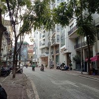 Bán Gấp Lô Đất Mp Phan Kế Bính-Diện Tích80M, Mt5M, Đường Rộng+ Vỉa Hè To, Kinh Doanh Sầm Uất, Giá Bán 26 Tỷ