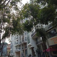 Bán Gấp Lô Đất Mp Phan Kế Bính-Diện Tích80M, Mt5M, Đường Rộng+ Vỉa Hè To, Kinh Doanh Sầm Uất, Giá Bán 26 Tỷ