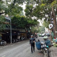 Bán Gấp Lô Đất Mp Phan Kế Bính-Diện Tích80M, Mt5M, Đường Rộng+ Vỉa Hè To, Kinh Doanh Sầm Uất, Giá Bán 26 Tỷ
