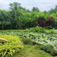 Cần Bán Đất Thổ Cư Mặt Tiền Bưng Ông Thoàn Quận 9 Tphcm Gần Ngã 3 Liên Phường Và Da Park Riverside