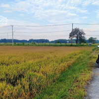 Bán Đất Mặt Tiền Đường Khu Ba Trại, Xã Cửa Dương