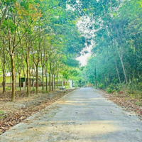 Bán Đất Mặt Tiền Đường Khu Ba Trại, Xã Cửa Dương