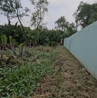 Đất Sau Lưng Chợ Phú Thuận Diện Tích 20 X 50M Công Nhận 938 M2 Giá Bán 16 Tỷ