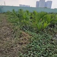 Đất Sau Lưng Chợ Phú Thuận Diện Tích 20 X 50M Công Nhận 938 M2 Giá Bán 16 Tỷ