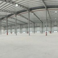 Kho Xưởng Kcn Tân Dân, 2000M2 20000M2 25.000M2, Mới 100%, Pccc Tự Động, Miễn Thuế, 55Nghìn/M2/Th