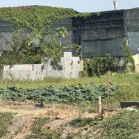 Bán Đất Giáo Dục Ngay Ủy Ban Phường An Phú Đông: Quận 12, Giá Chỉ 5 Triệu/M2. Tổng Diện Tích 1260M2