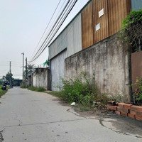 Lô Đất Thổ Cư Giáp Hóc Môn, Cách Cầu Rạch Tra 1Km,Hẻm Ôtô 7 Chỗ,Dt: 5 X 20 (Cn: 98,6M2)