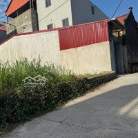 Chính Chủ Cần Bán Nhanh Đất Đẹp 60M Lỗ Giao, Việt Hùng, Đông Anh