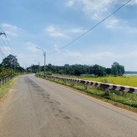 Bán 7 Sào Có 200Tc Mặt Tiền Chính Xuân Tân Hàng Gòn Tplk