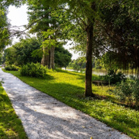 Cho Thuê Biệt Thự Vườn Tùng Ecopark, Chỉ 60 Triệu/Tháng Diện Tích 600M2, Giá Siêu Hời, Vị Trí Siêu Đẹp